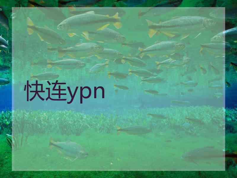 快连ypn