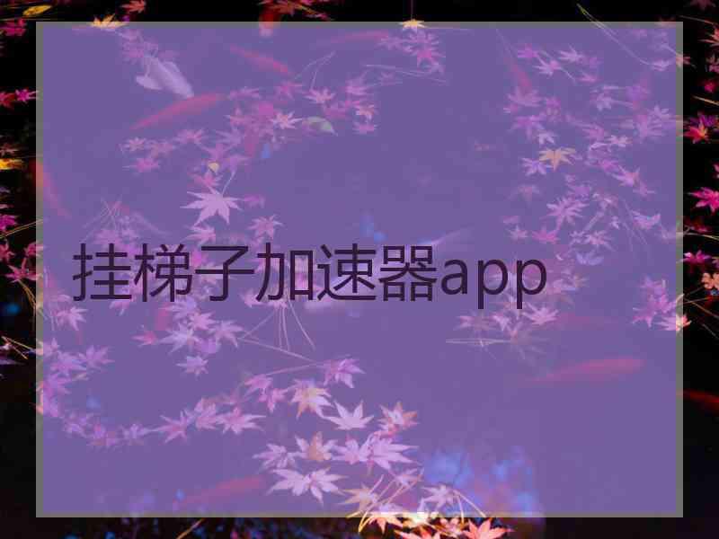 挂梯子加速器app