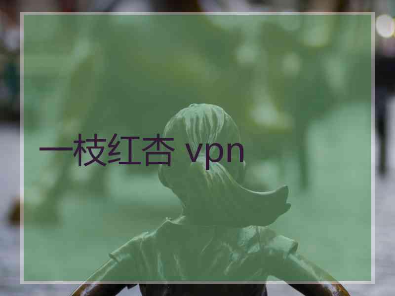 一枝红杏 vpn