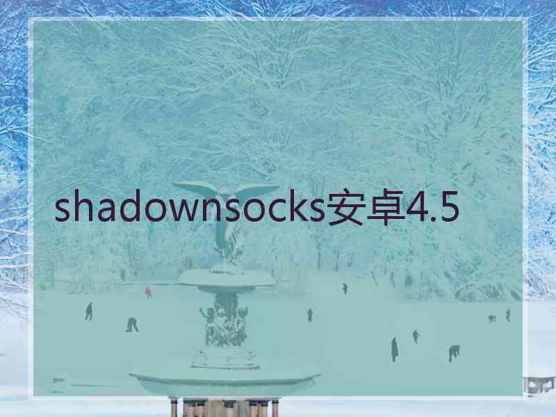 shadownsocks安卓4.5