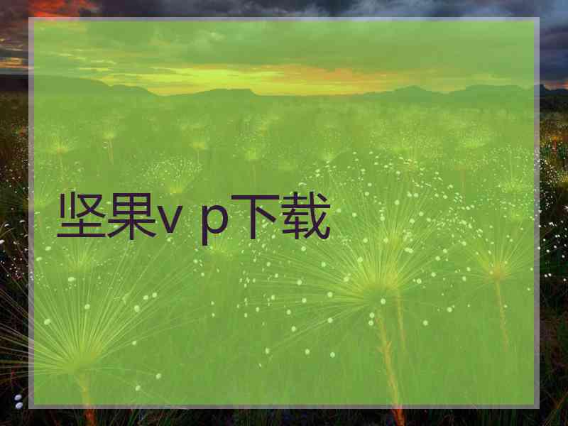 坚果v p下载