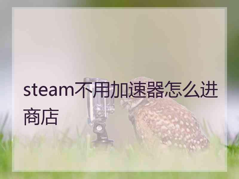 steam不用加速器怎么进商店