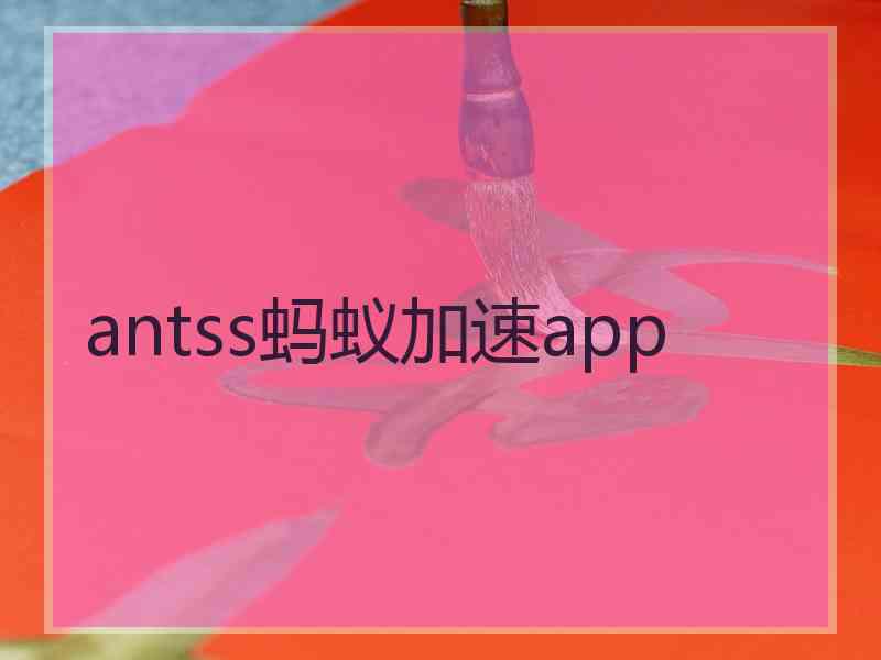 antss蚂蚁加速app