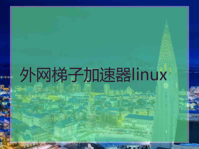 外网梯子加速器linux