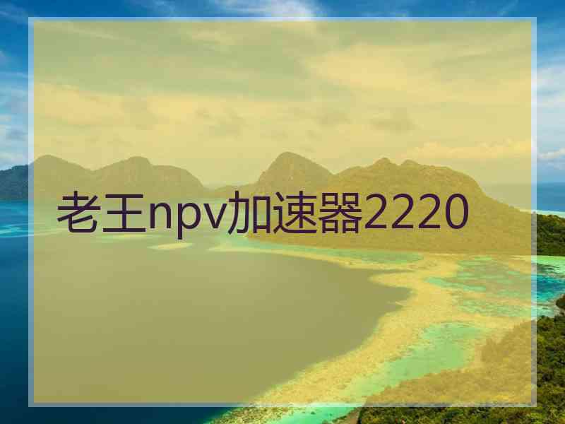 老王npv加速器2220