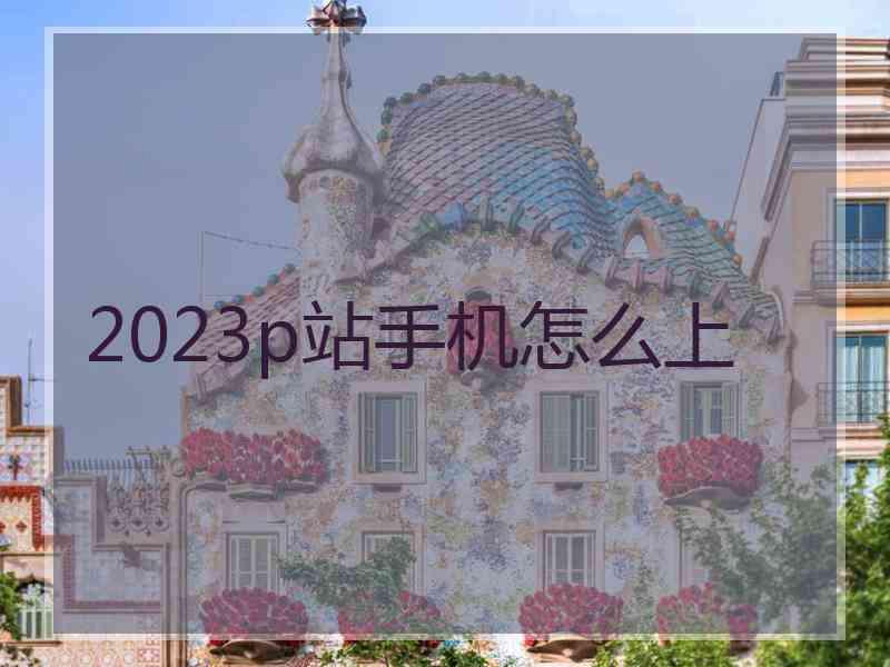 2023p站手机怎么上