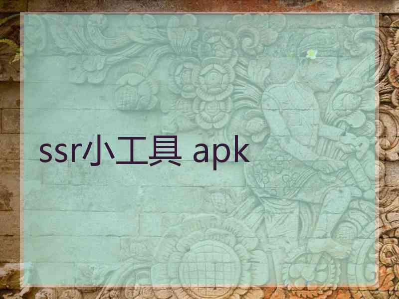 ssr小工具 apk