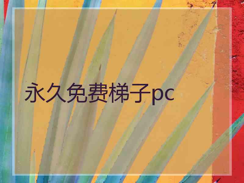 永久免费梯子pc