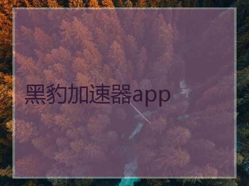 黑豹加速器app