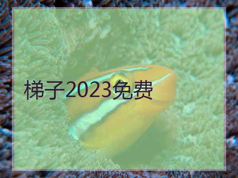 梯子2023免费