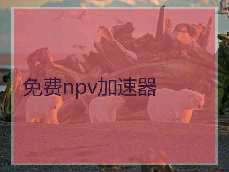 免费npv加速器