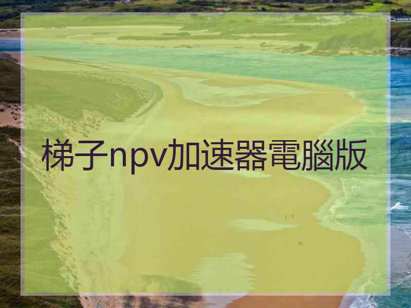 梯子npv加速器電腦版