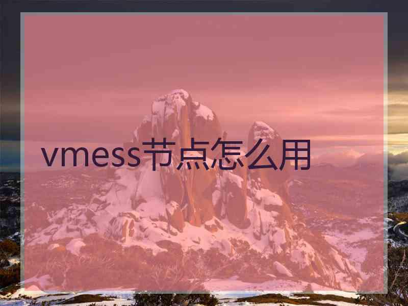 vmess节点怎么用