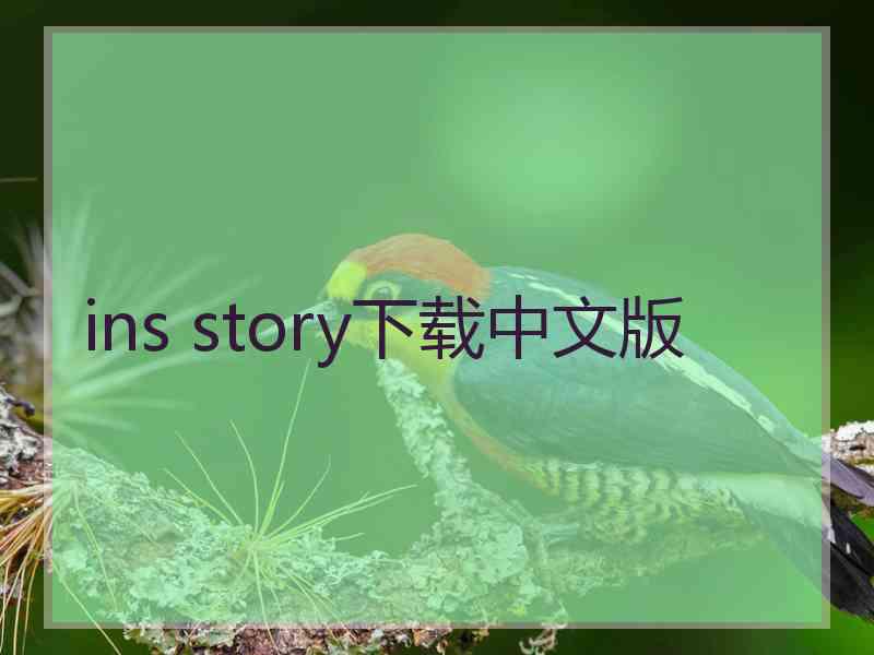 ins story下载中文版