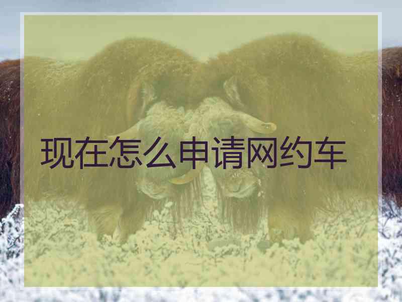 现在怎么申请网约车