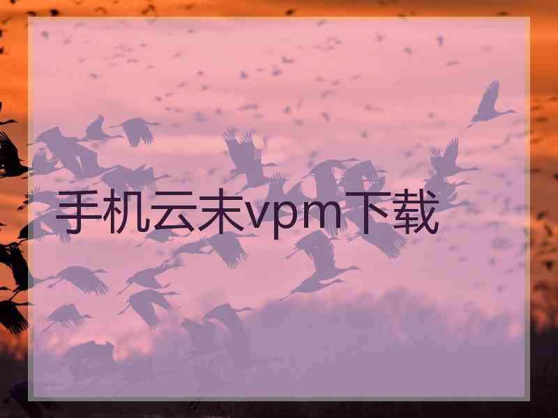 手机云末vpm下载