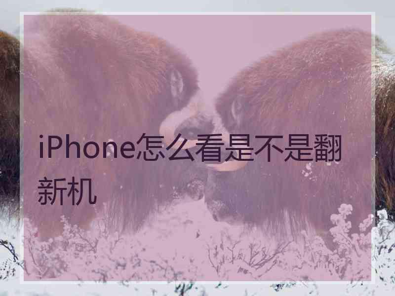 iPhone怎么看是不是翻新机