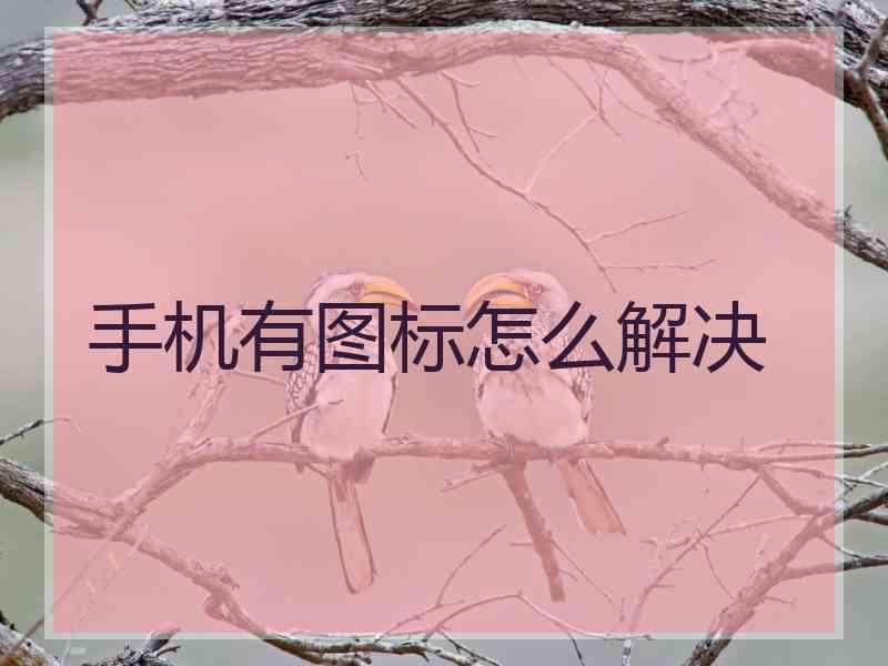 手机有图标怎么解决