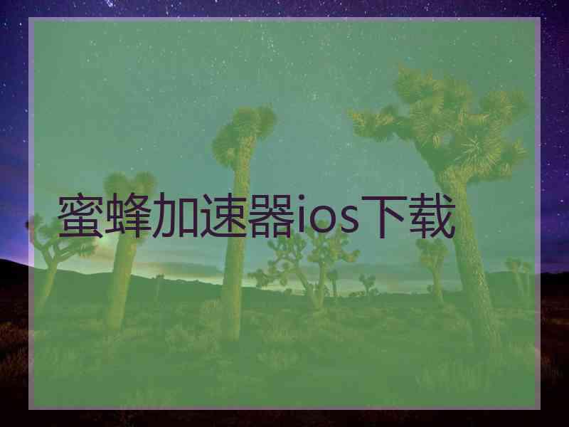 蜜蜂加速器ios下载