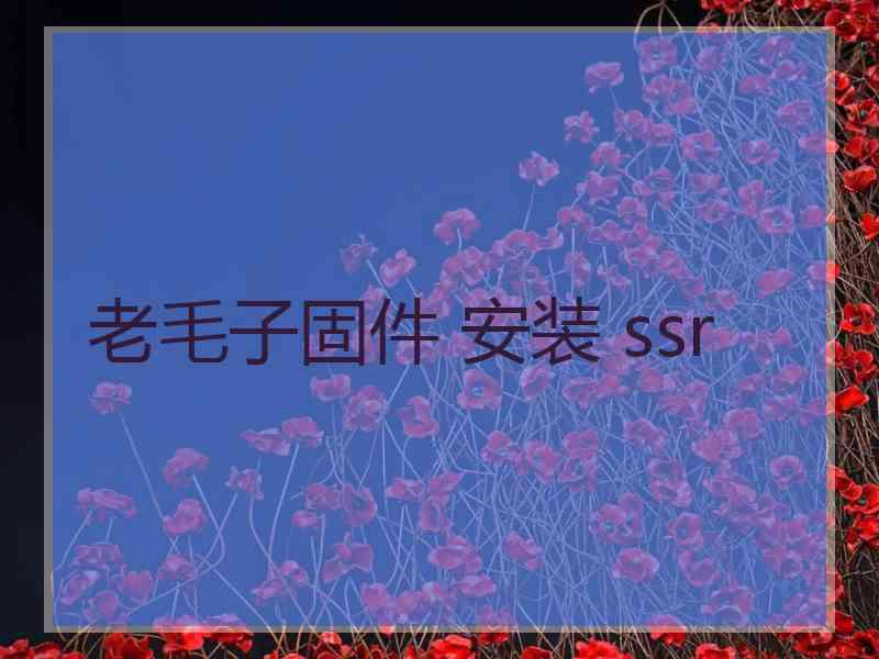 老毛子固件 安装 ssr