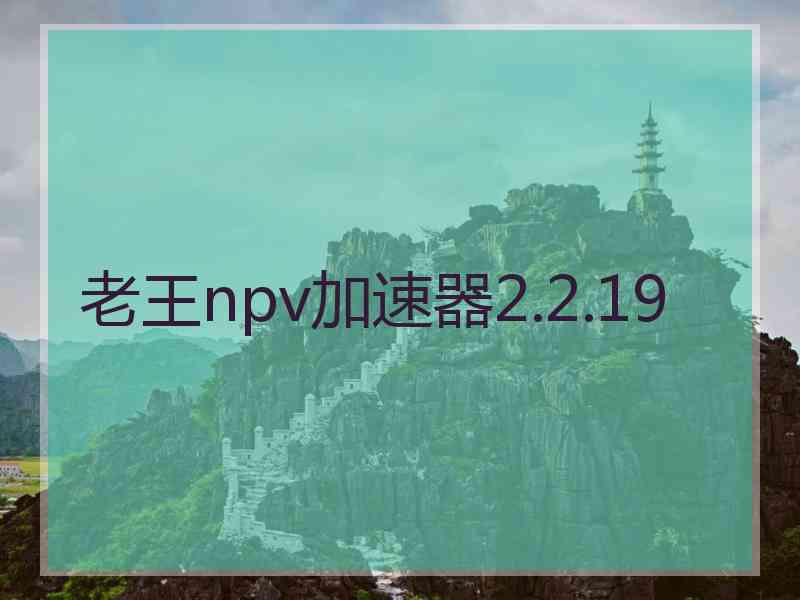 老王npv加速器2.2.19