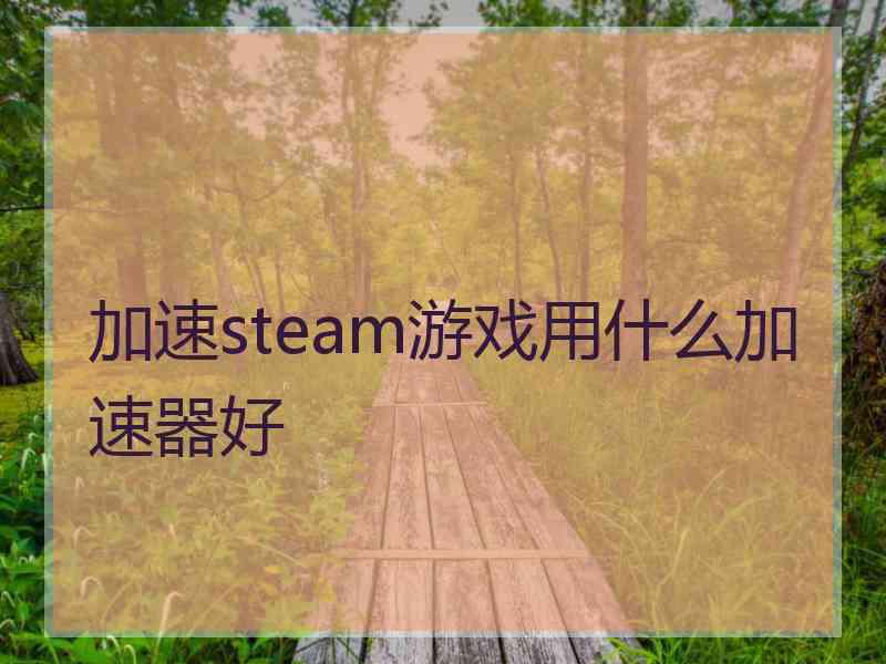 加速steam游戏用什么加速器好