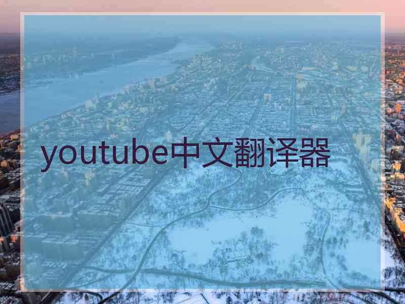 youtube中文翻译器