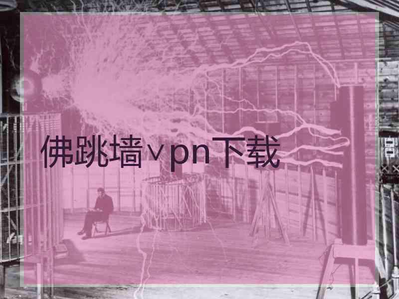 佛跳墙∨pn下载