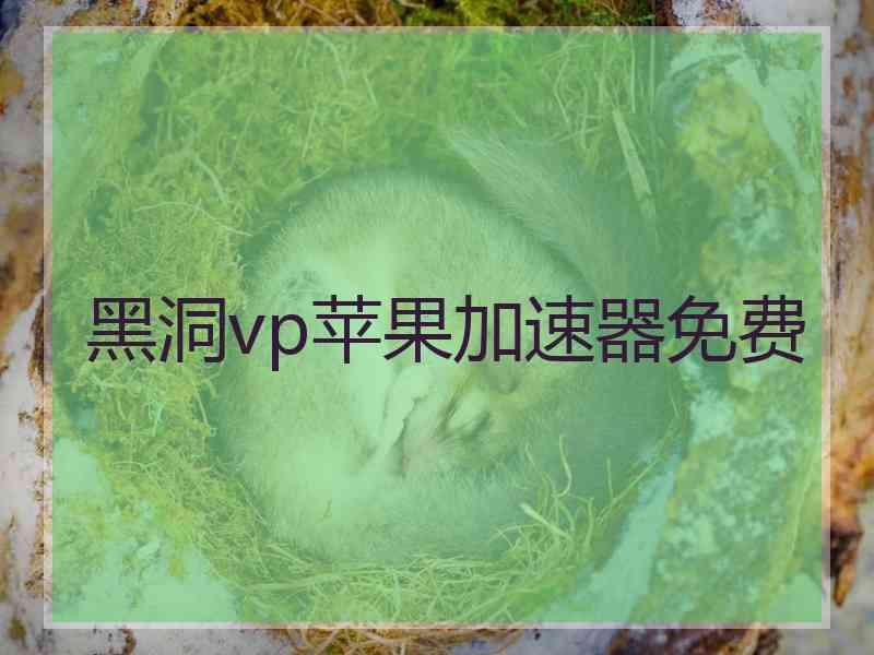 黑洞vp苹果加速器免费