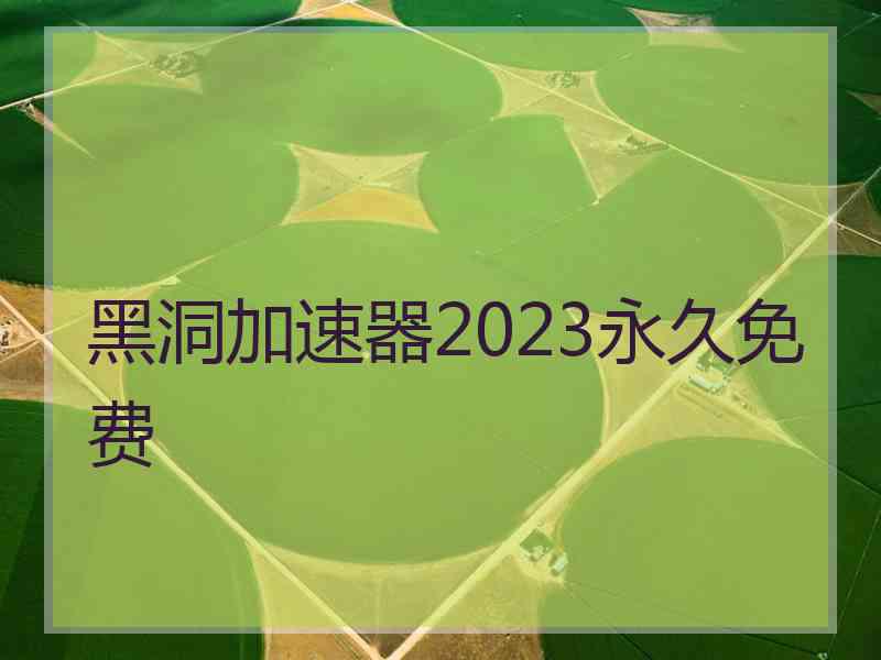 黑洞加速器2023永久免费