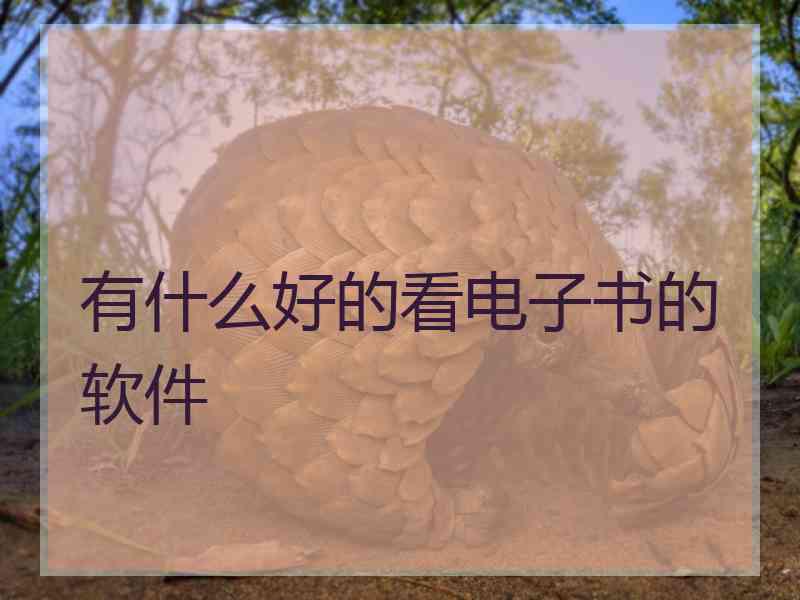 有什么好的看电子书的软件